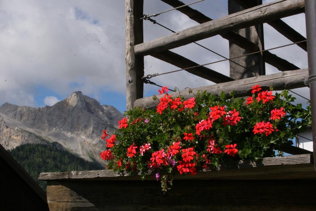 Albergo Diffuso Sauris In Sauris Di Sopra מראה חיצוני תמונה
